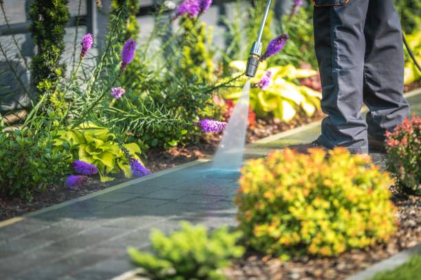Best Restaurant Pressure Washing  in Wilkes Barre, PA